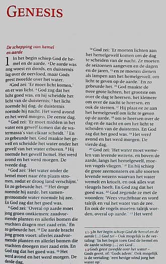Dutch language