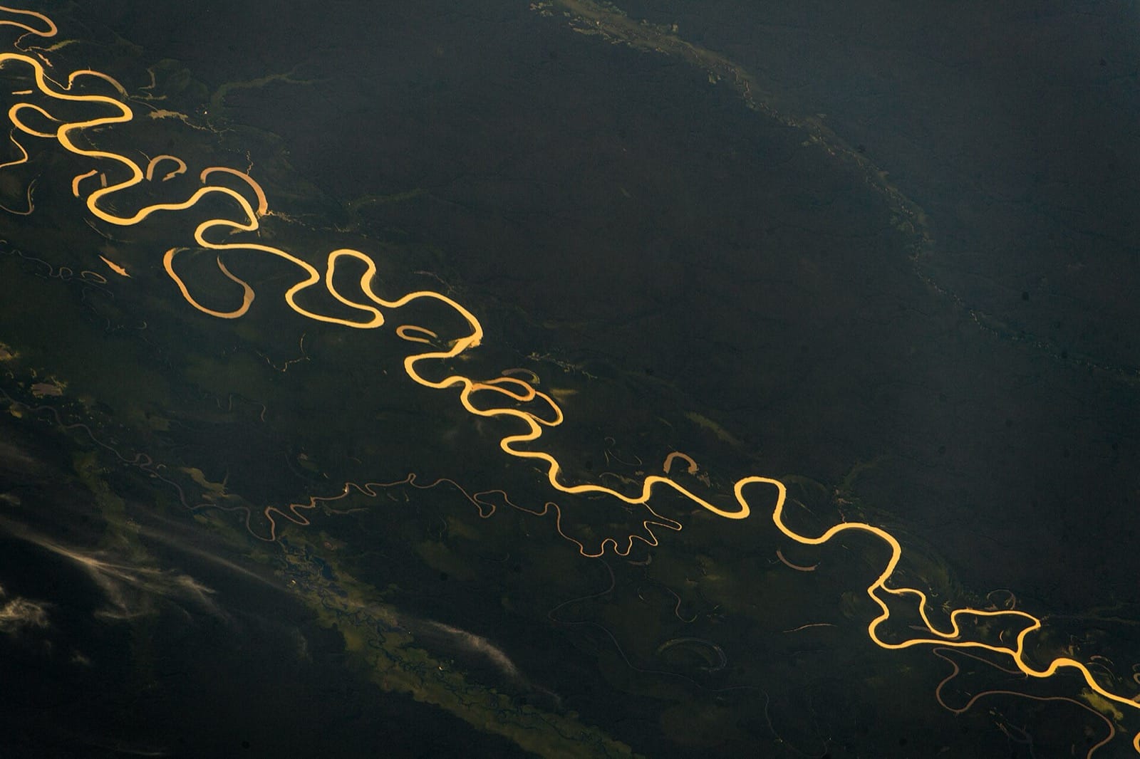 The Juruá River meandering through the Amazon basin, photographed from the International Space Station