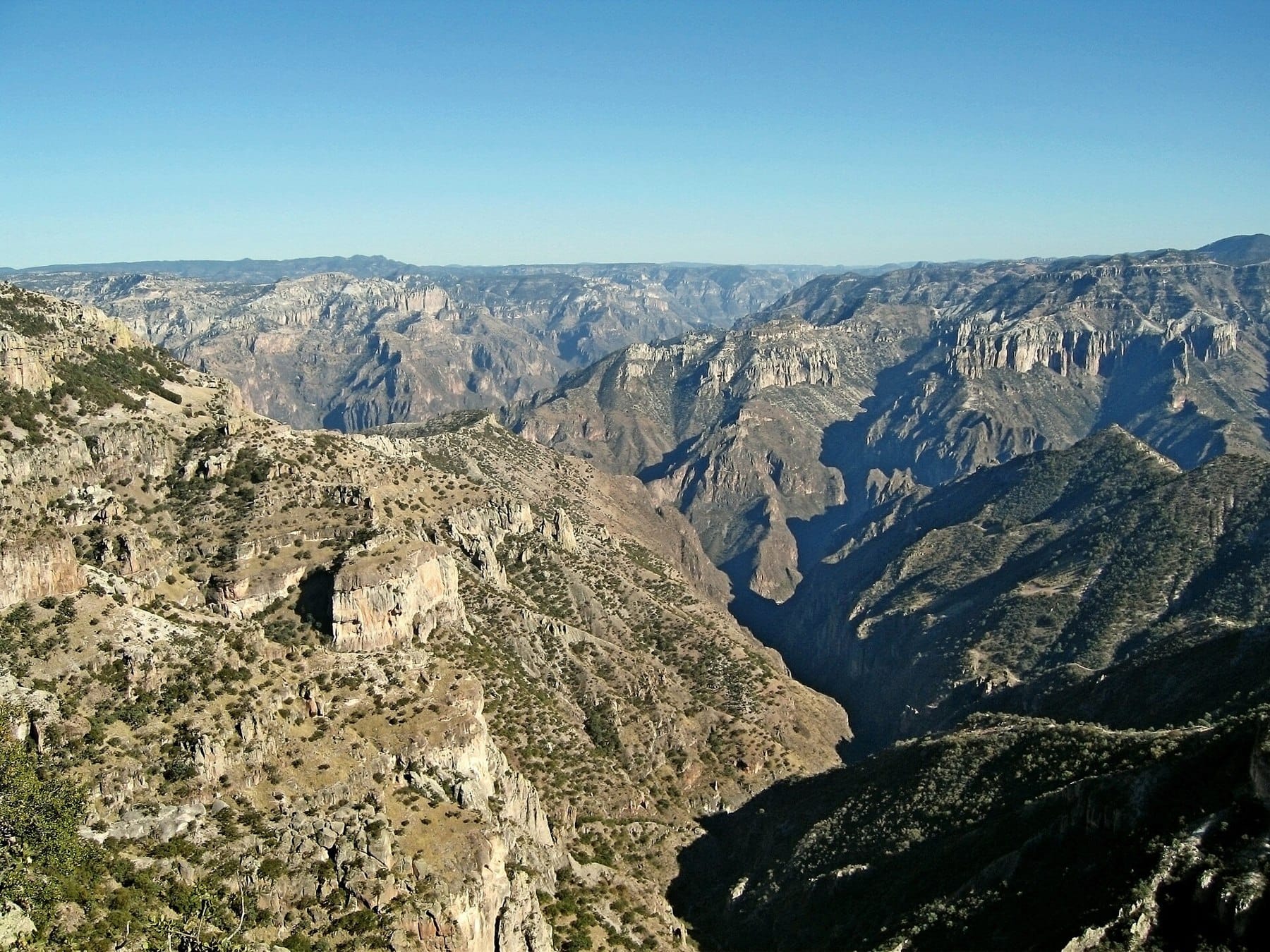 Layered cliffs and wooded slopes in the Copper Canyon of Chihuahua