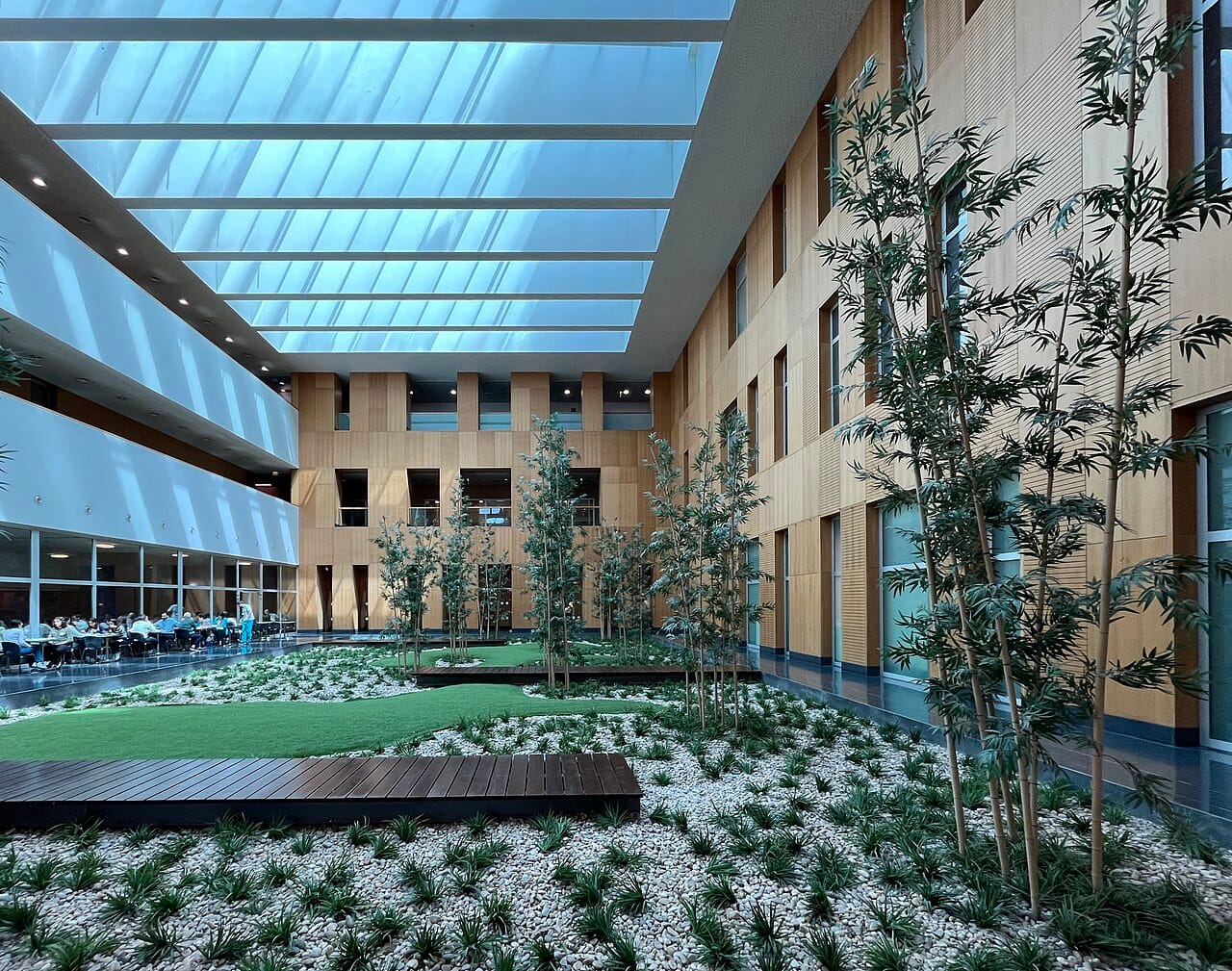 The daylit atrium of a modern hospital