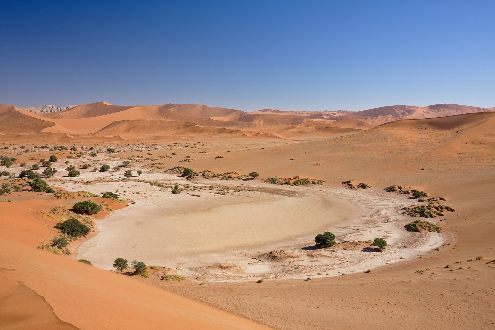 The red dunes of Sossusvlei in the Namib