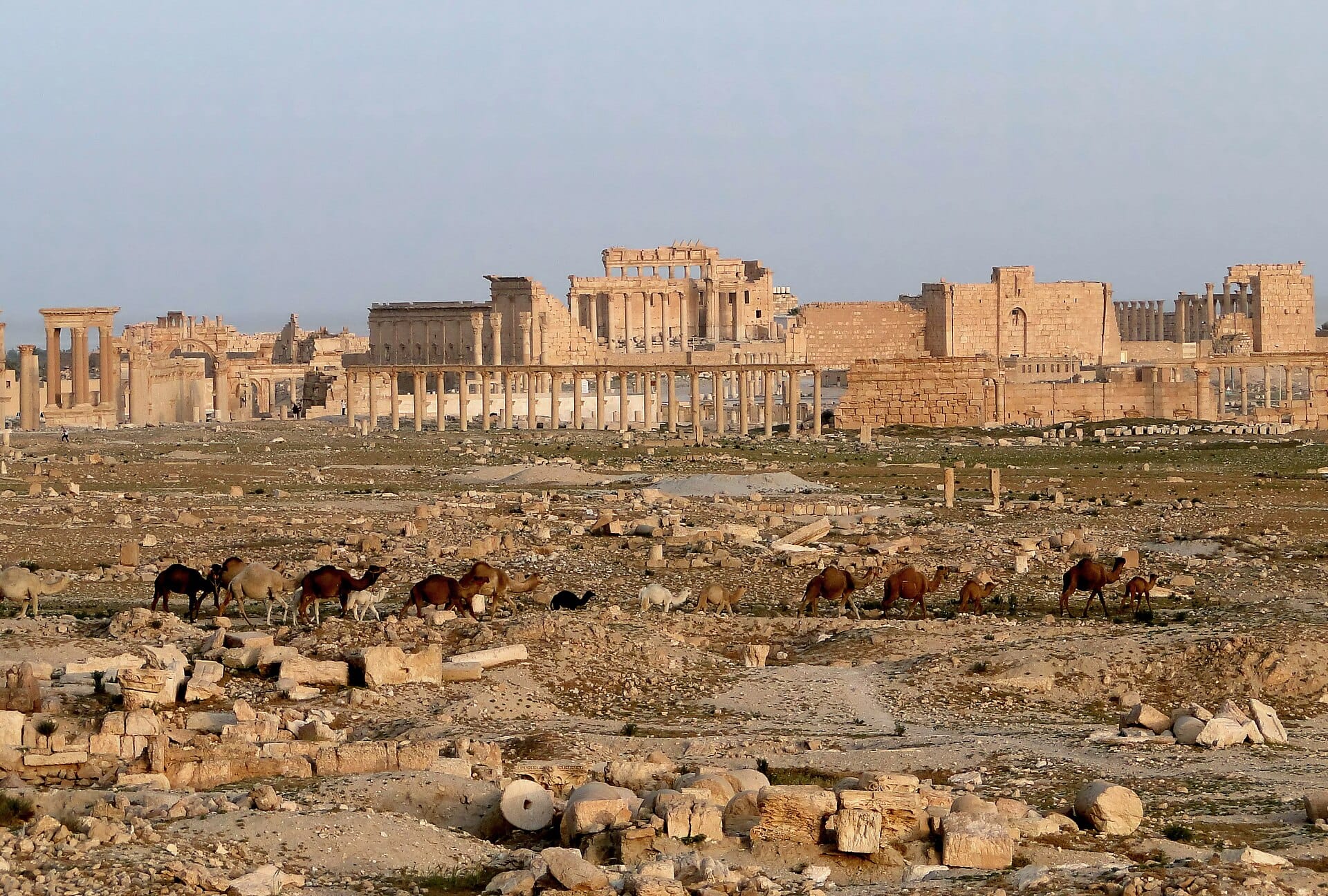 The colonnade of ancient Palmyra