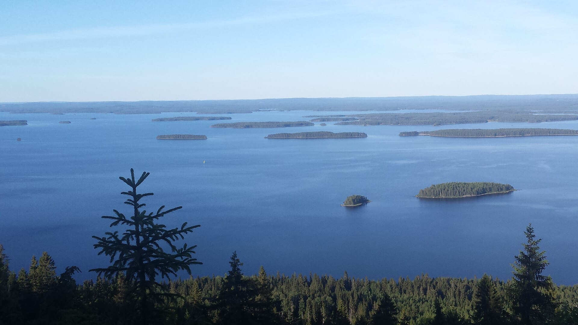 Forested islands scattered across Lake Pielinen seen from the hills of Koli National Park