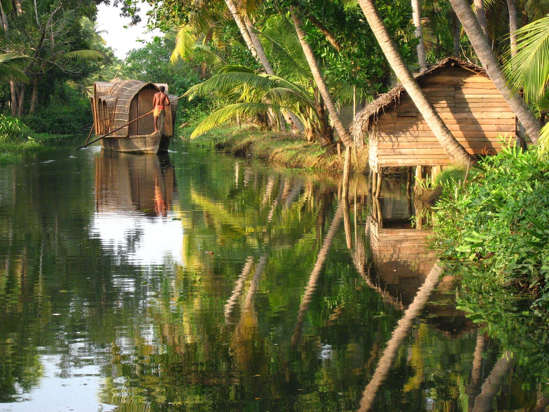 Palms along a channel of the Kerala backwaters