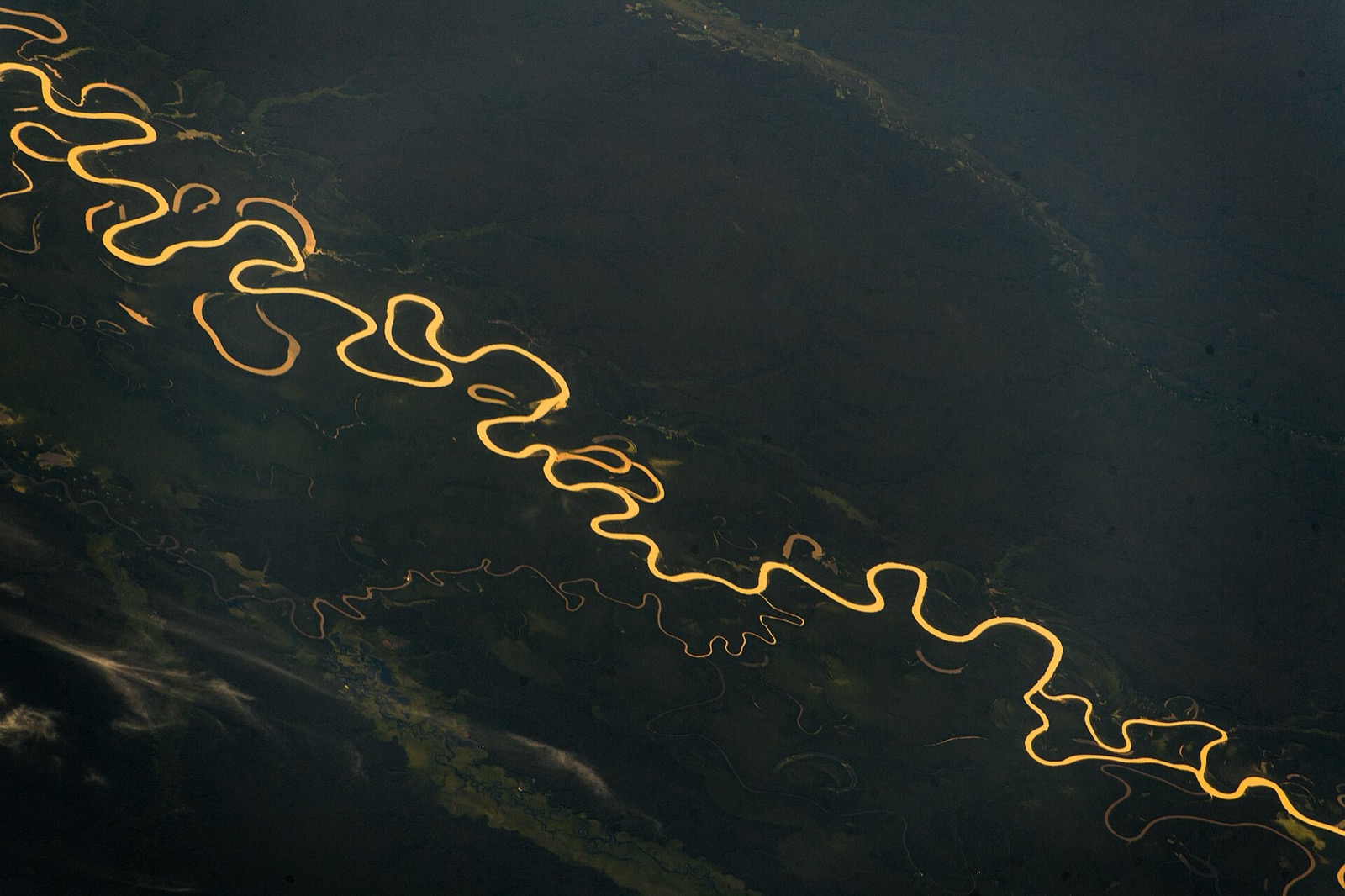 The Juruá River meandering through the Amazon basin, photographed from the International Space Station