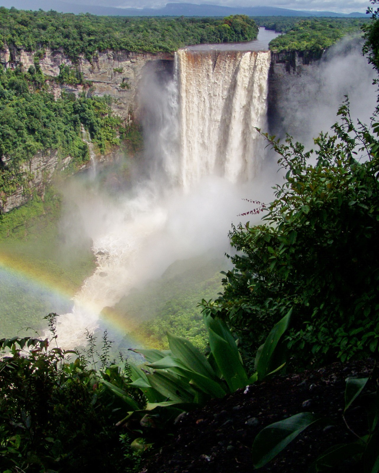 Kaieteur Falls plunging from a forested plateau on the Potaro River