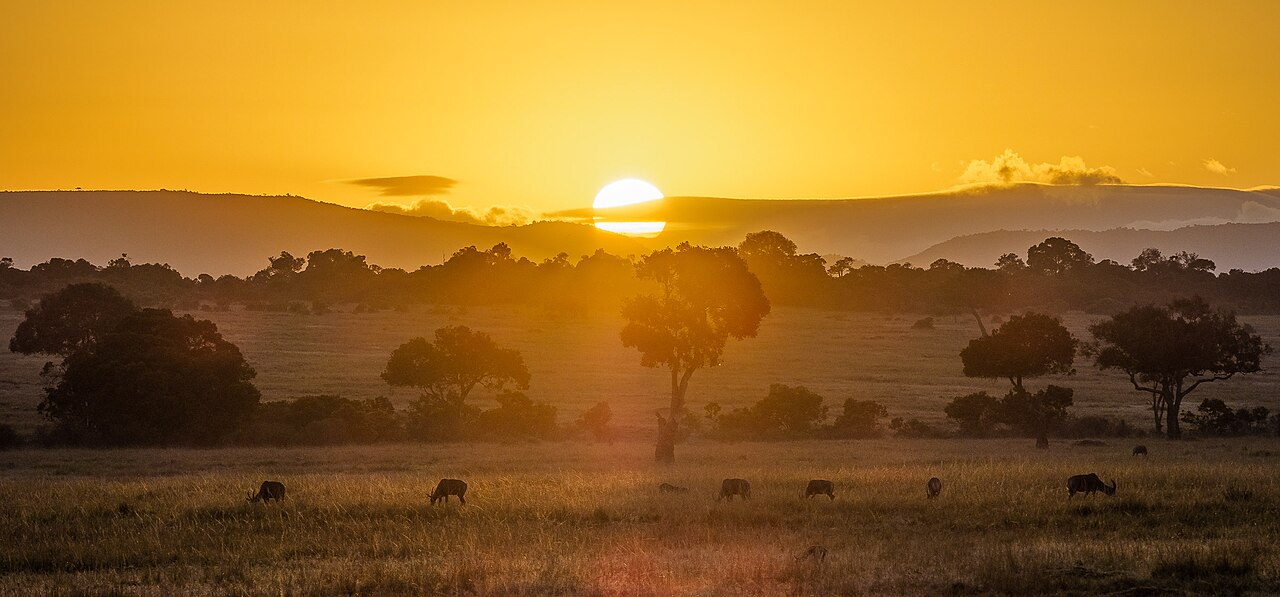 The Maasai Mara at sunset, Kenya
