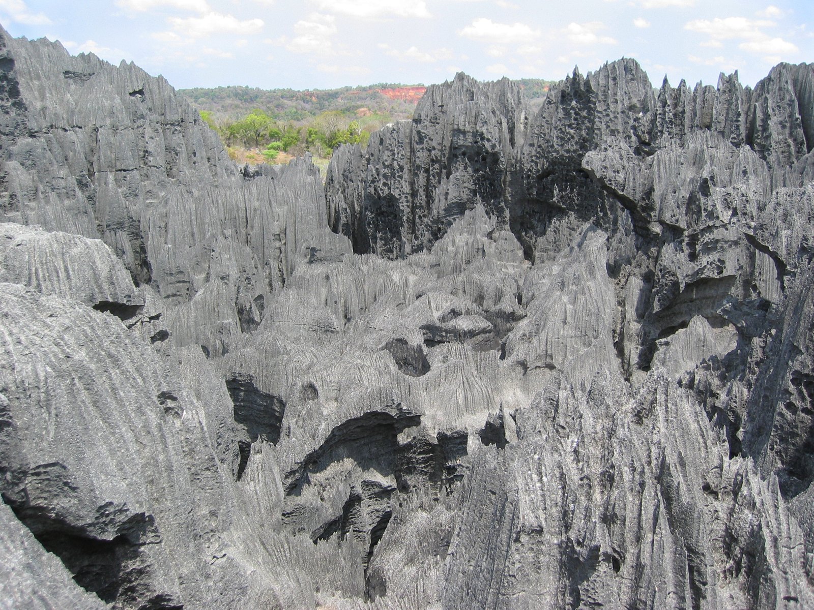 Sharp limestone ridges and pinnacles at Tsingy de Bemaraha