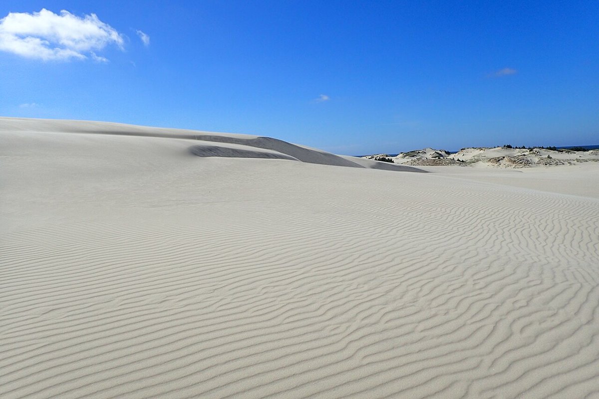 Wind-shaped dunes in Słowiński National Park on Poland’s Baltic coast