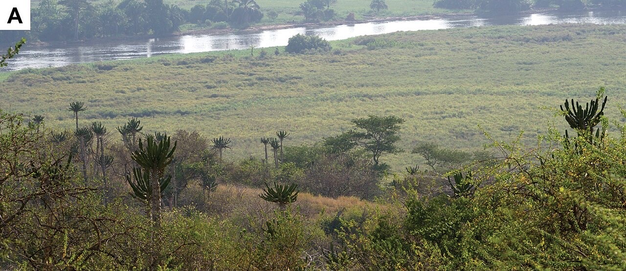 The Kwanza River and savannah in Kissama National Park, Angola