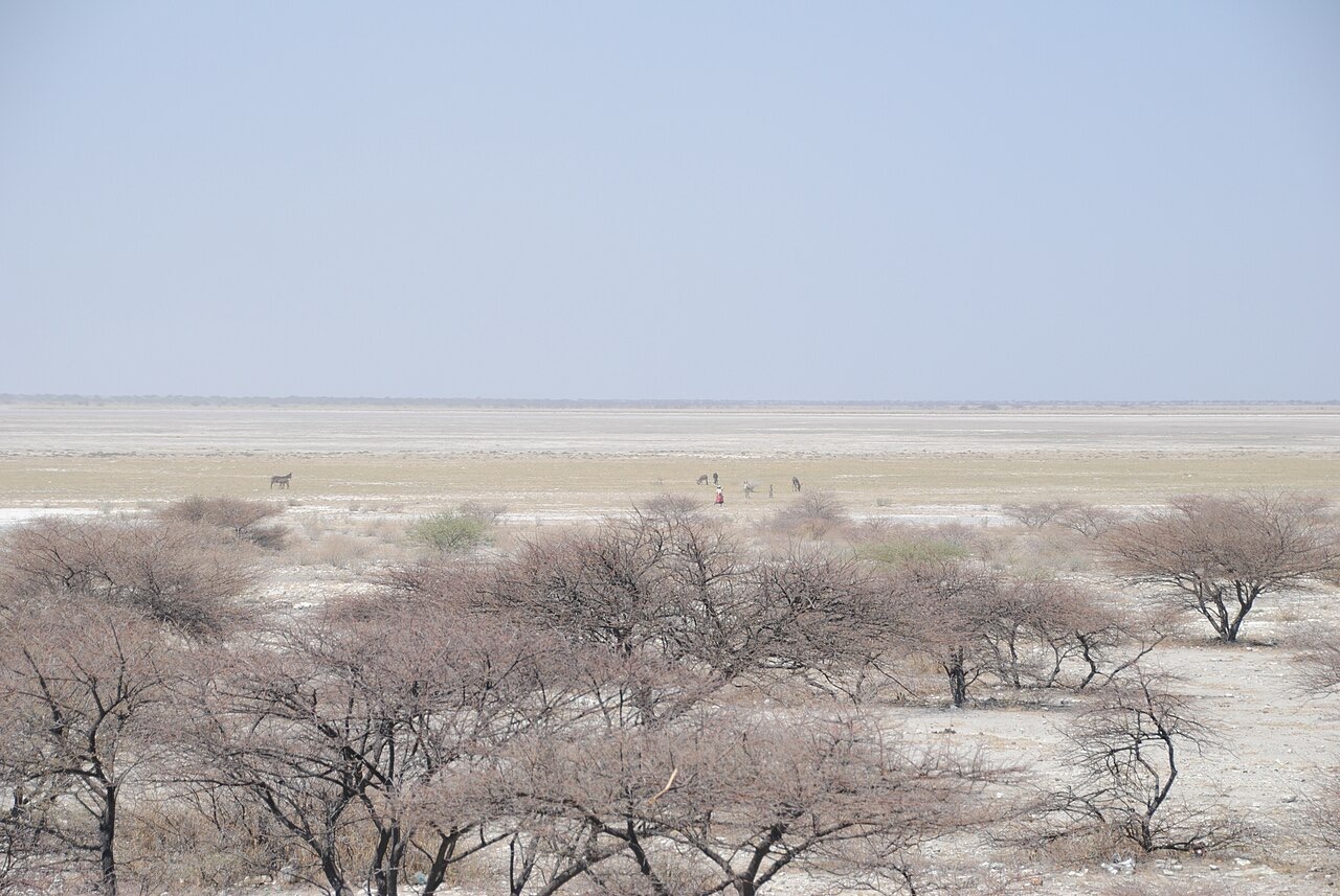 The Makgadikgadi salt pan landscape, Botswana