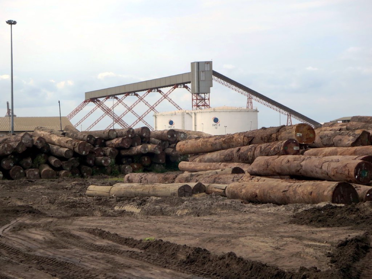 Timber for export at Pointe-Noire port, Republic of the Congo