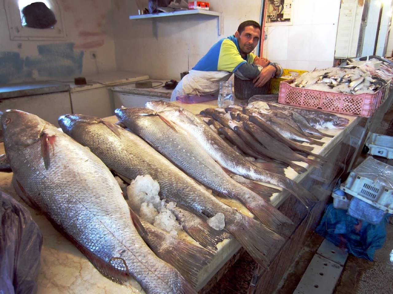 A fish trader at the Municipal Market in Dakhla, Western Sahara