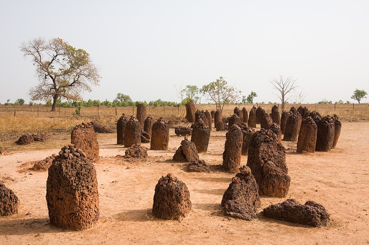The Wassu stone circles, The Gambia