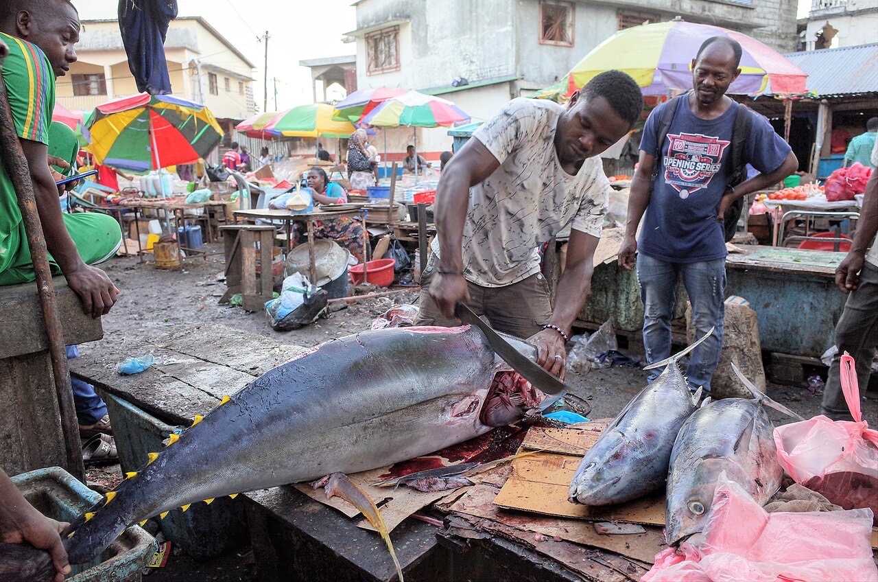 Fish stalls at Volo Volo market, Comoros