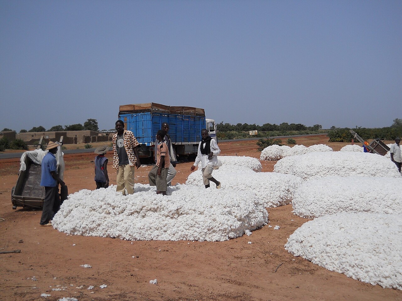 Workers preparing cotton near Mpessoba, Mali