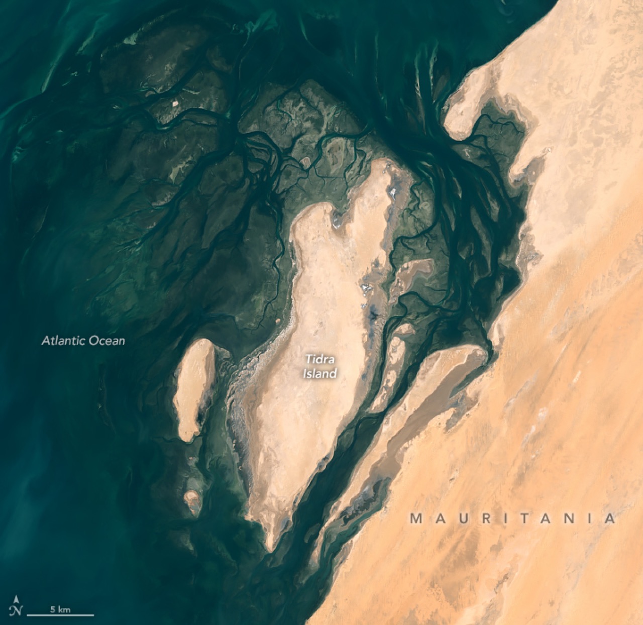 The Banc d’Arguin coast seen from a satellite, Mauritania