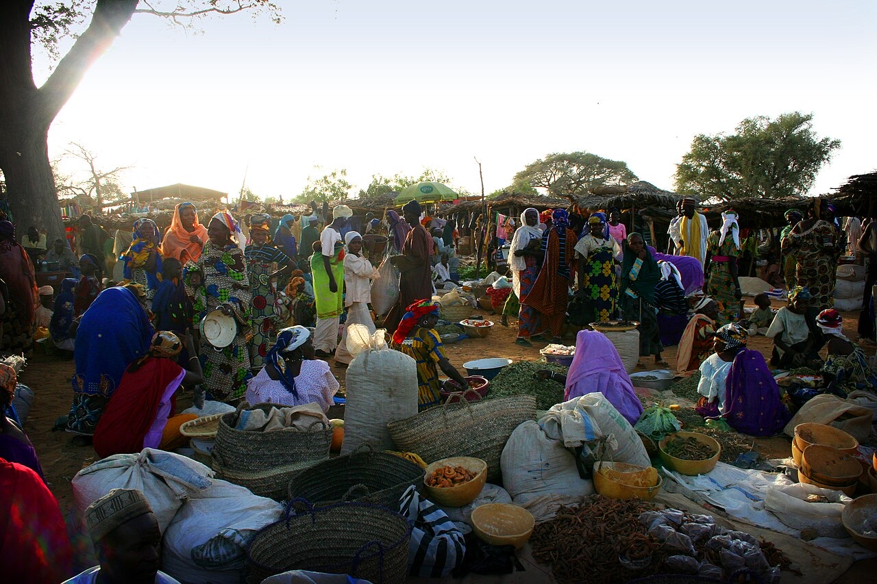 A market in Dogo, Niger