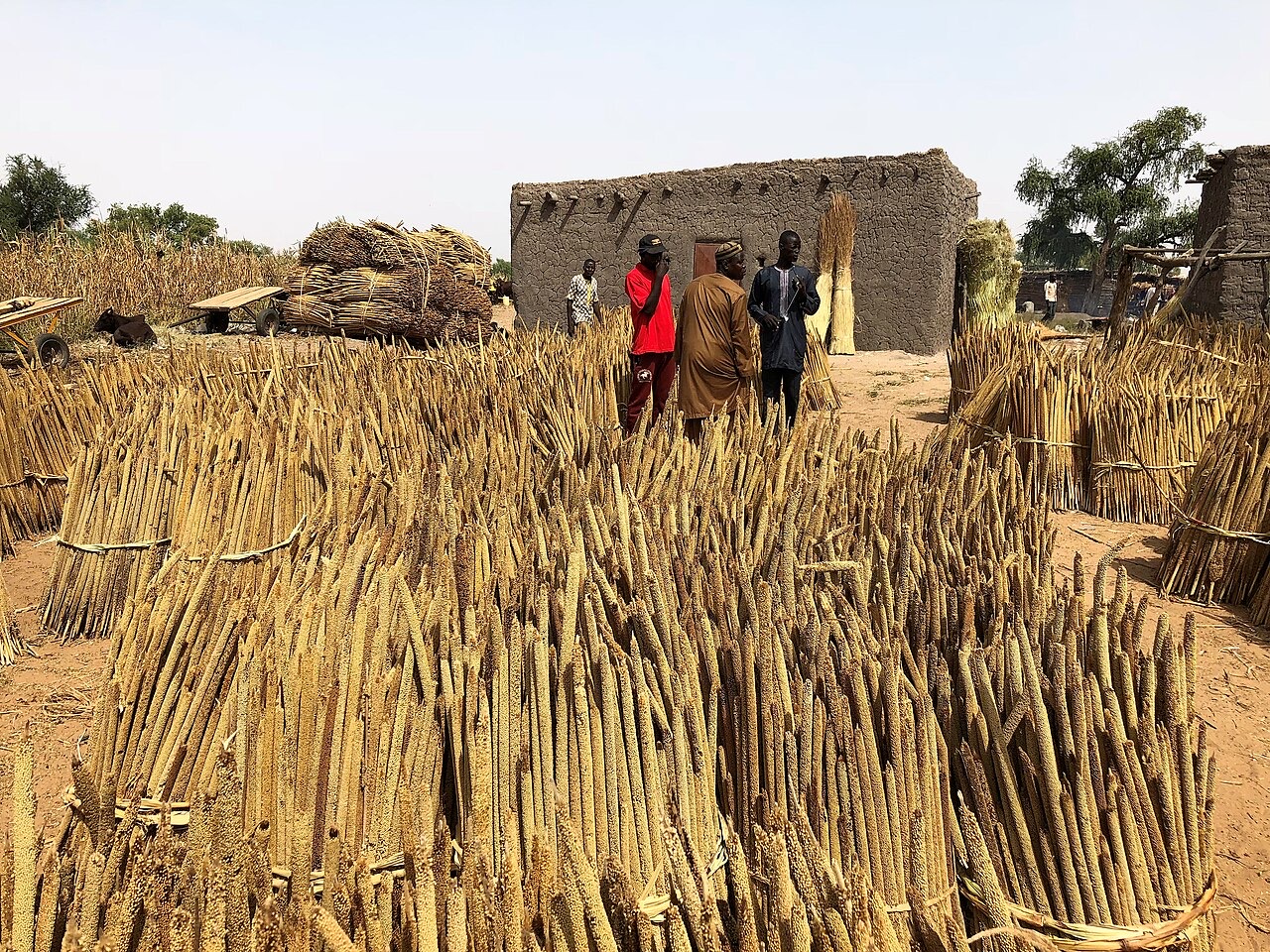 Millet sold at a market in N’Gonga, Niger