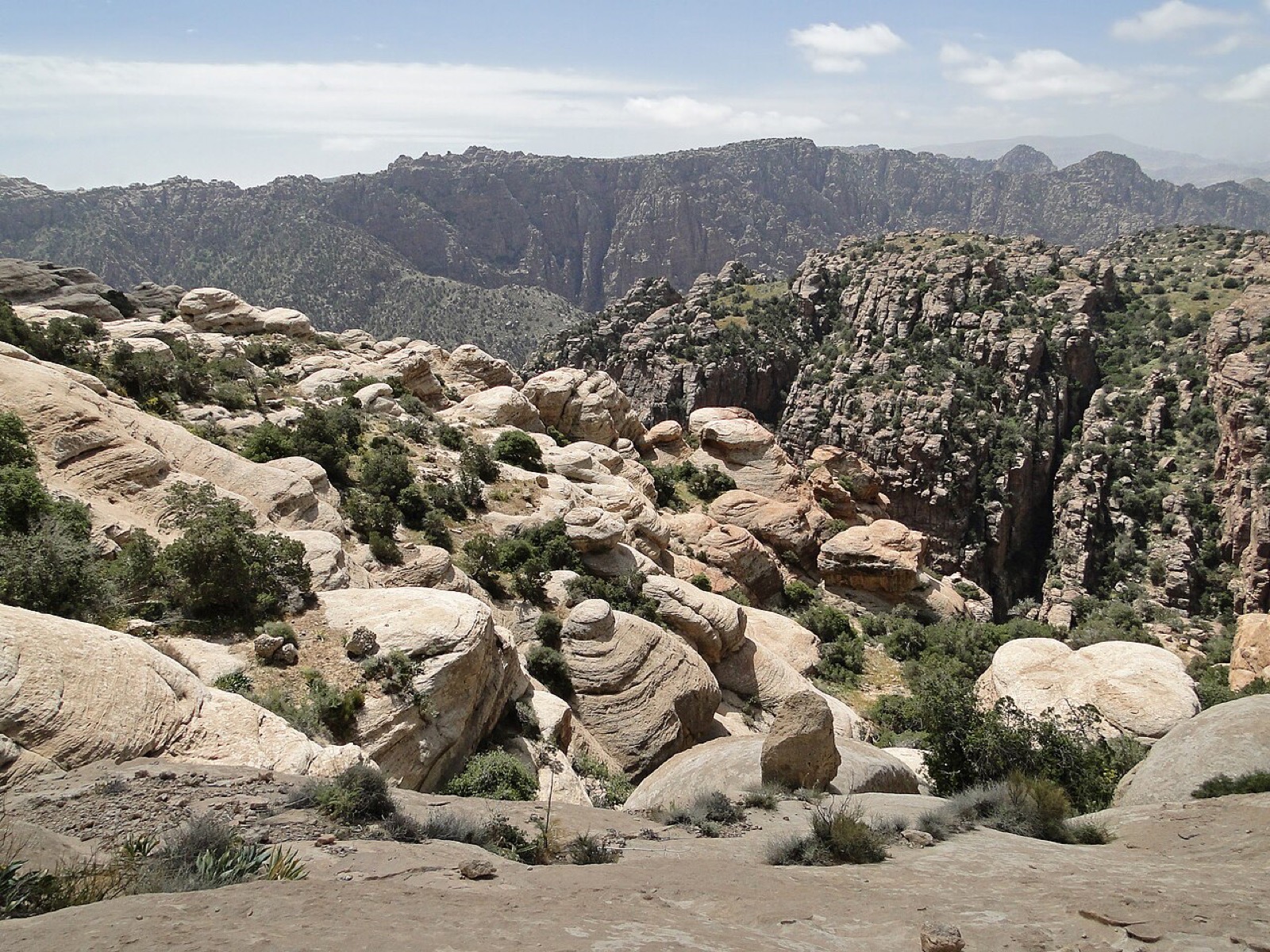 The landscape of Dana Biosphere Reserve in Jordan