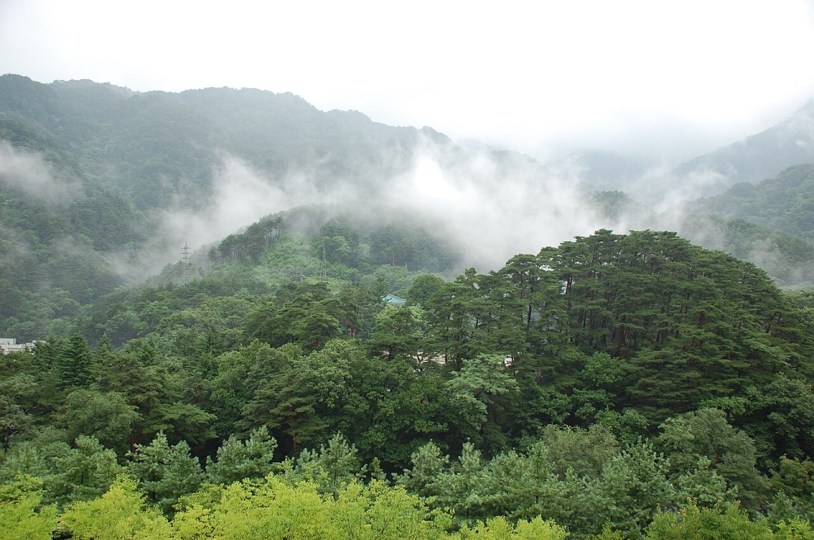 The wooded landscape of Mount Myohyang in North Korea