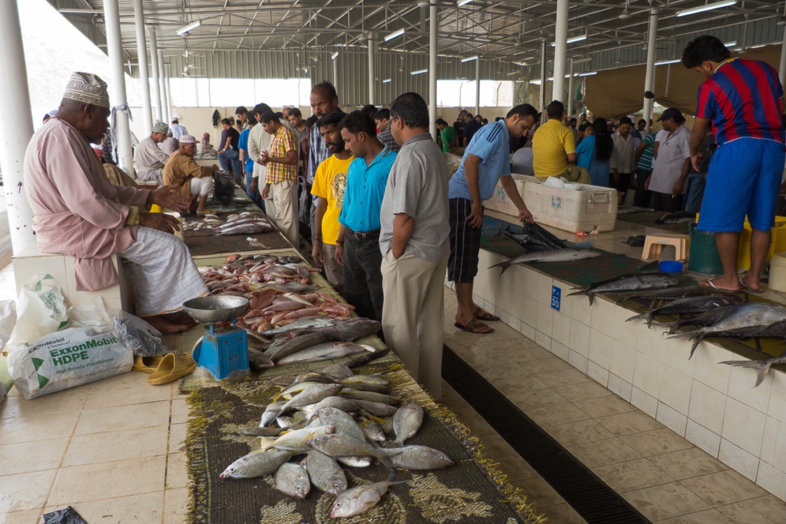 The fish market at Muttrah in Muscat, Oman
