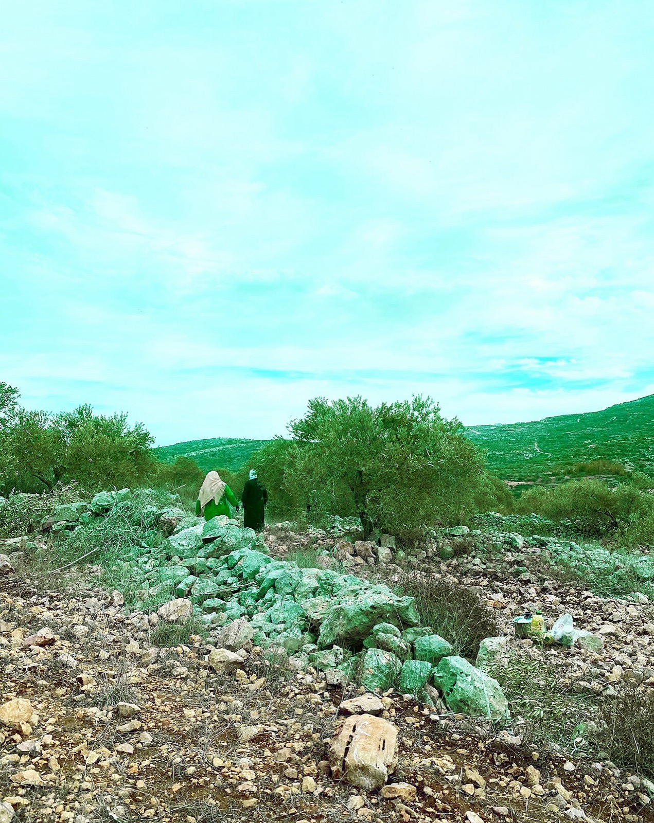Two women working during the olive season in Palestine