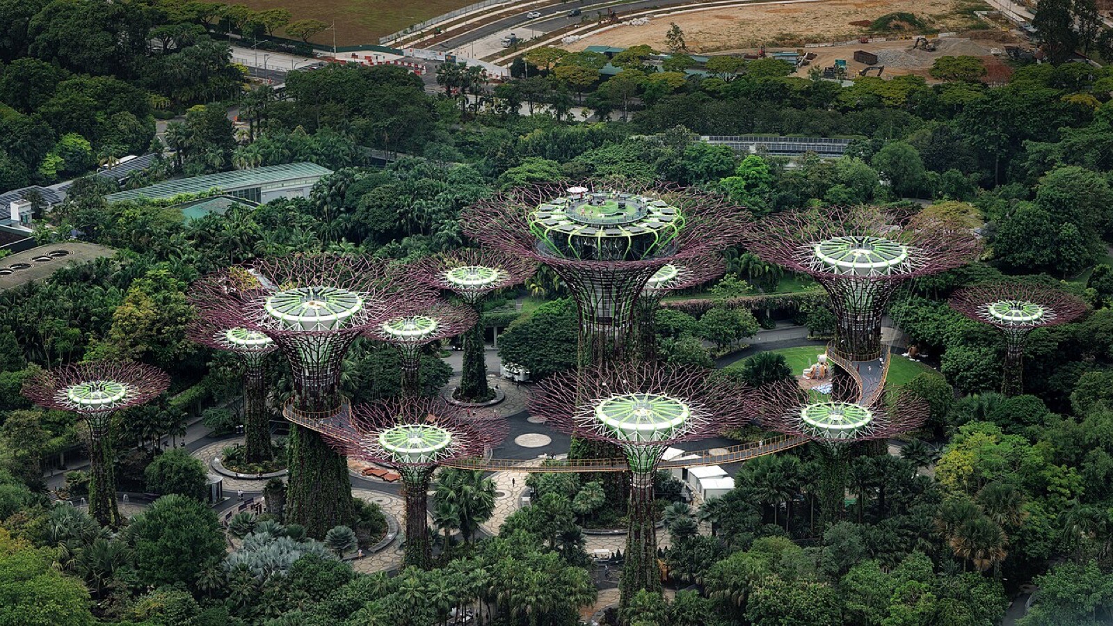 The Supertree Grove at Singapore’s Gardens by the Bay