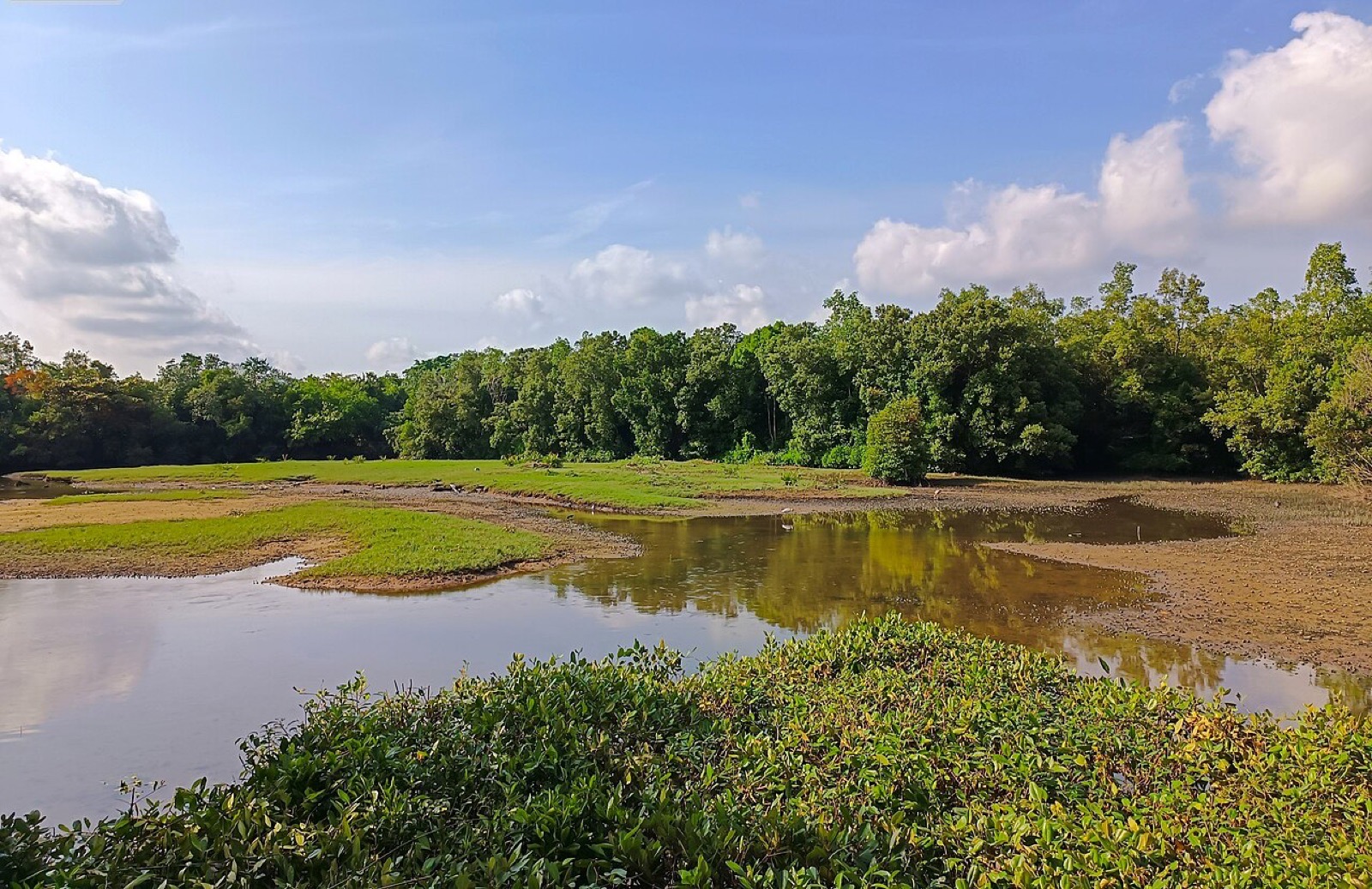 The Sungei Buloh Wetland Reserve in Singapore