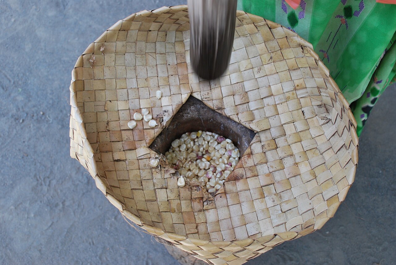 Preparing maize in the traditional way at Suai Loro, Timor-Leste
