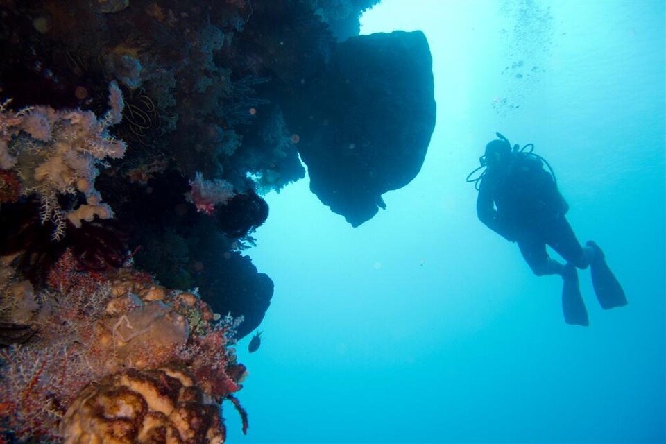 A diver beside a coral reef at Atauro Island, Timor-Leste