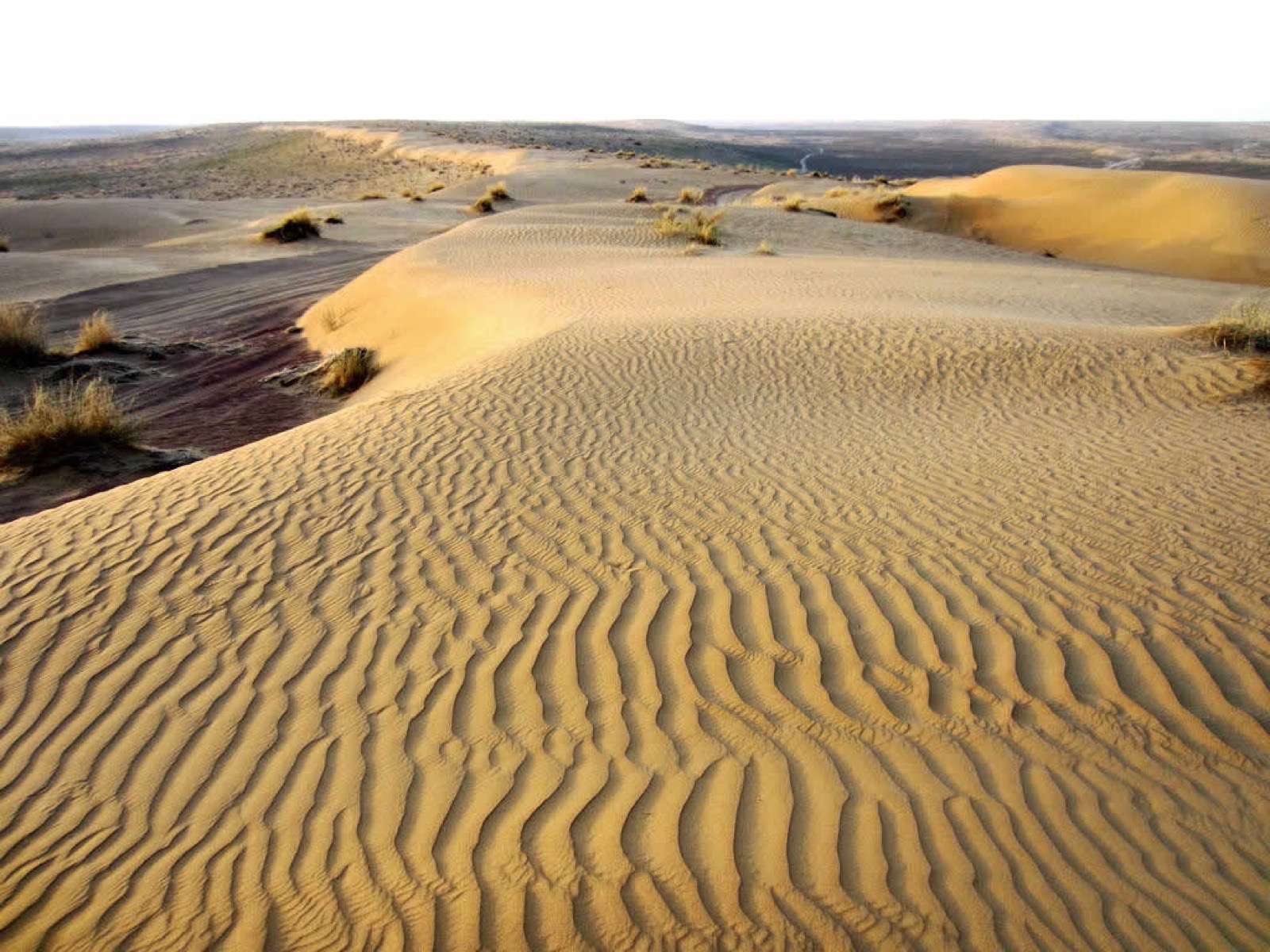 The Karakum Desert in Turkmenistan