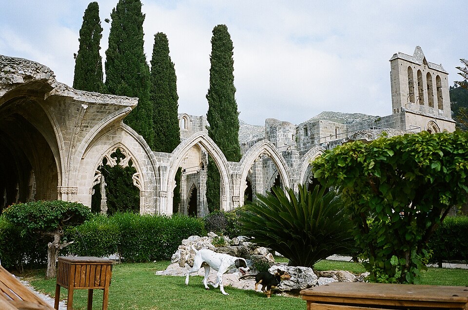 Bellapais Abbey in northern Cyprus