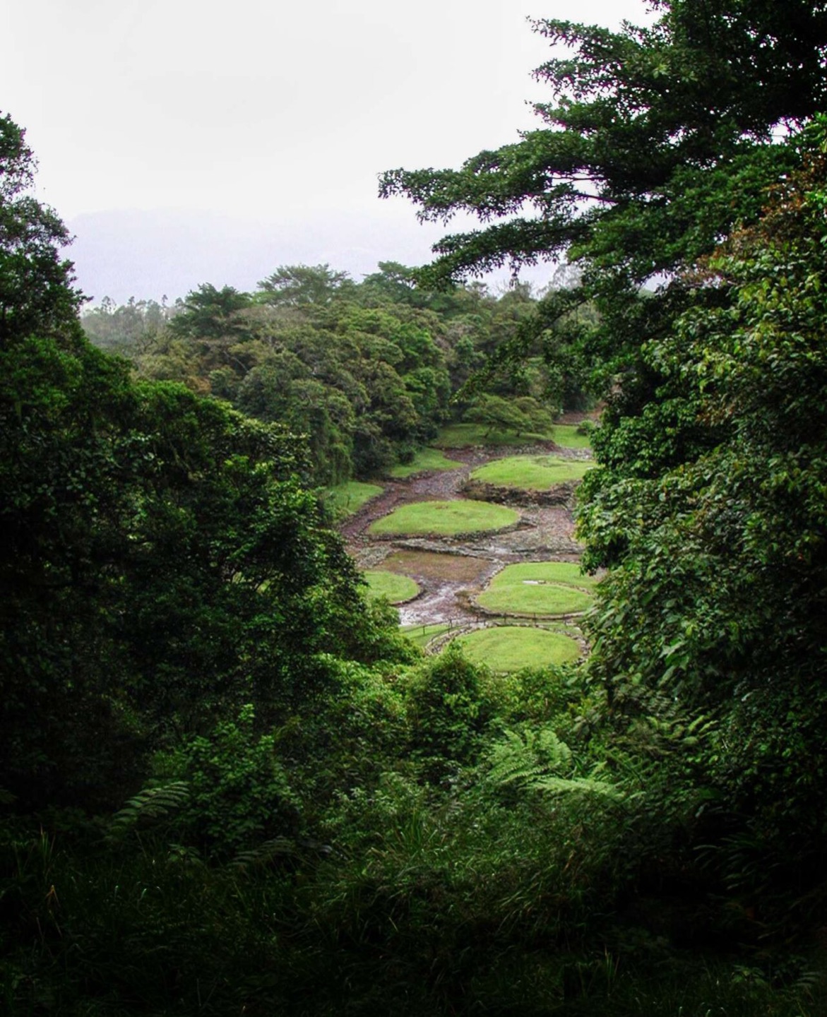 The archaeological site of Guayabo in Costa Rica