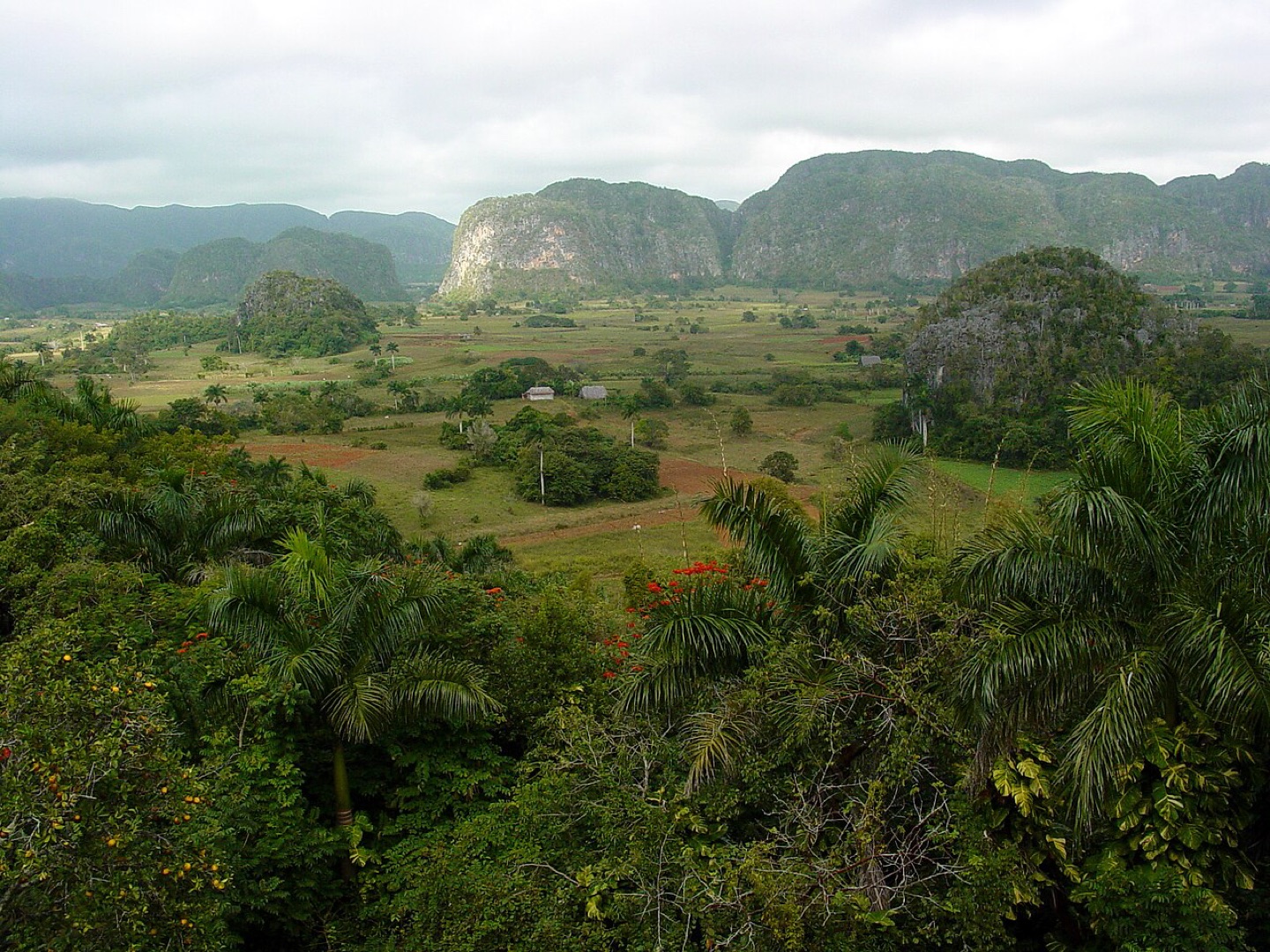 The limestone hills of the Viñales Valley in Cuba