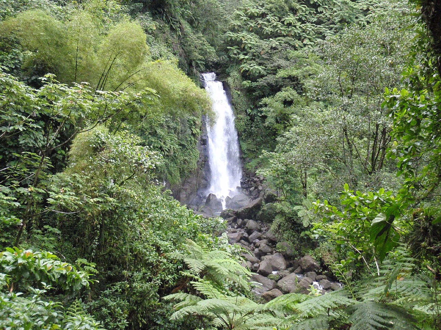 The waterfalls at Trafalgar Falls in Dominica