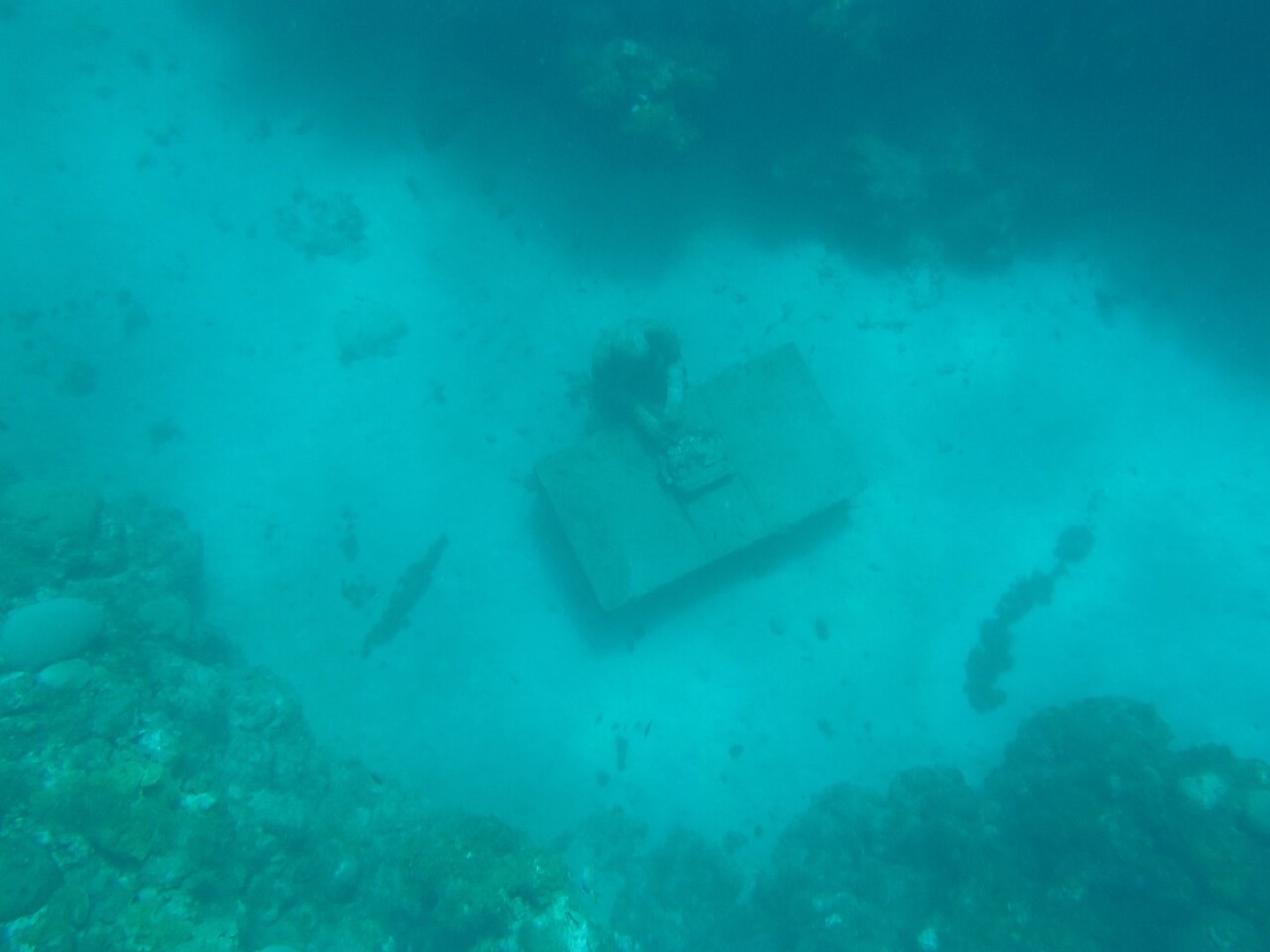 Sculptures at the underwater sculpture park in Grenada