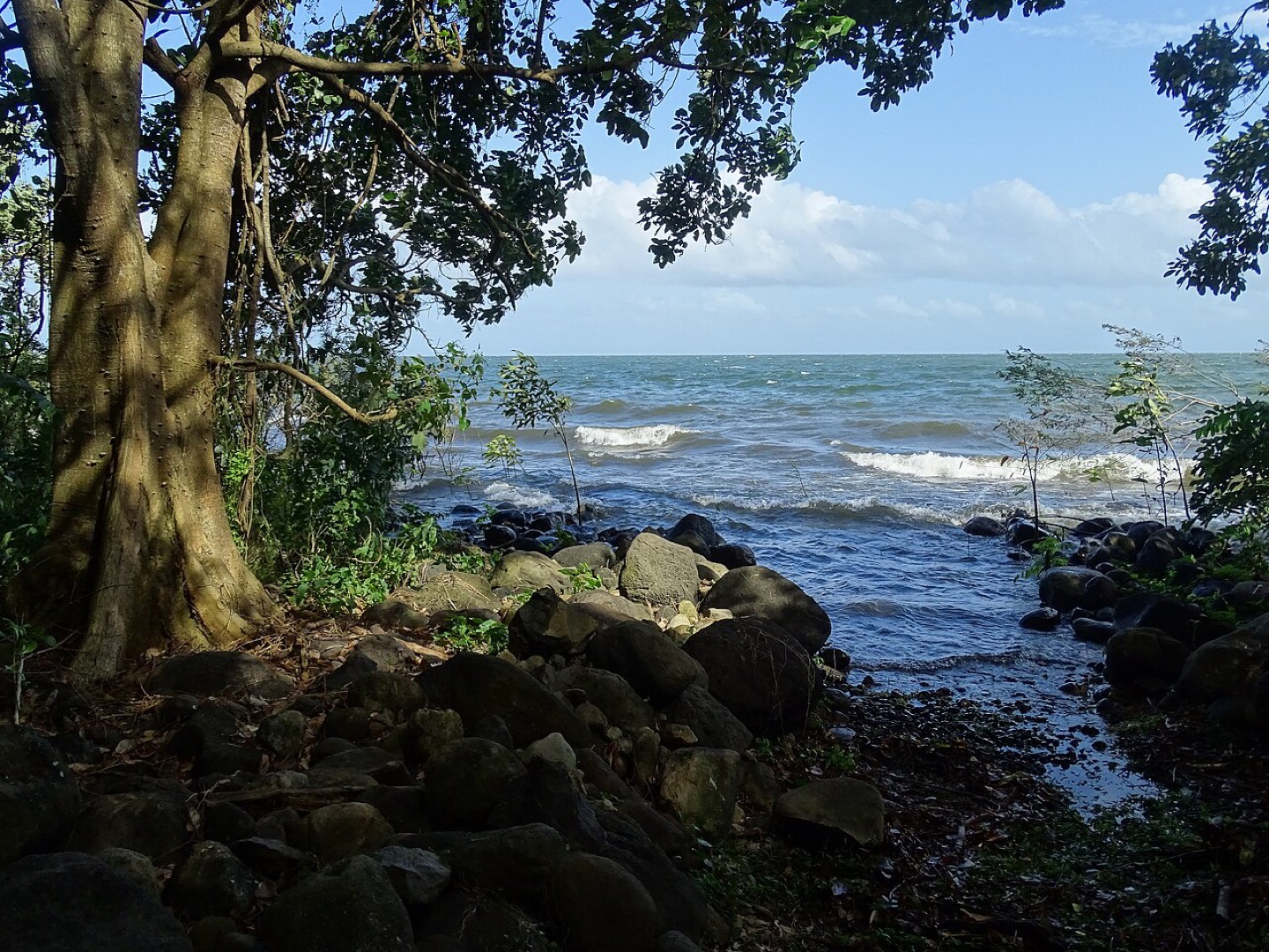 The shore of Lake Nicaragua on Ometepe Island