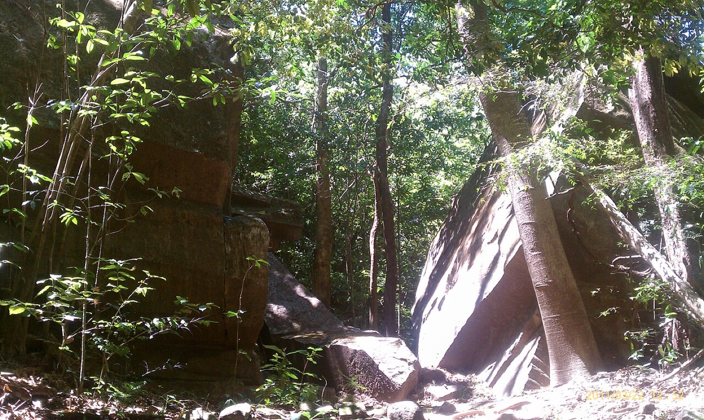 Forest in El Imposible National Park, El Salvador
