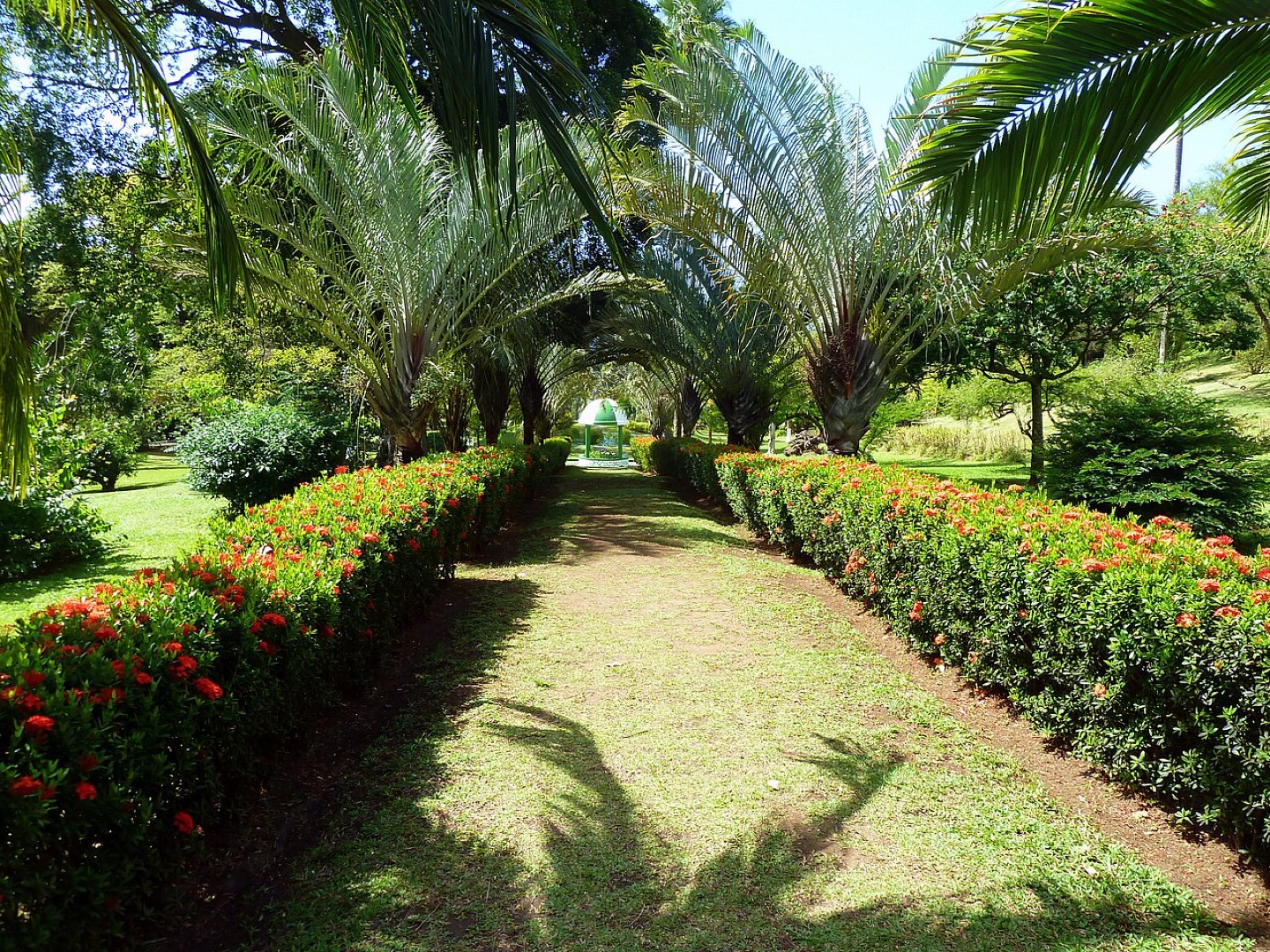 The botanical gardens in Kingstown, Saint Vincent