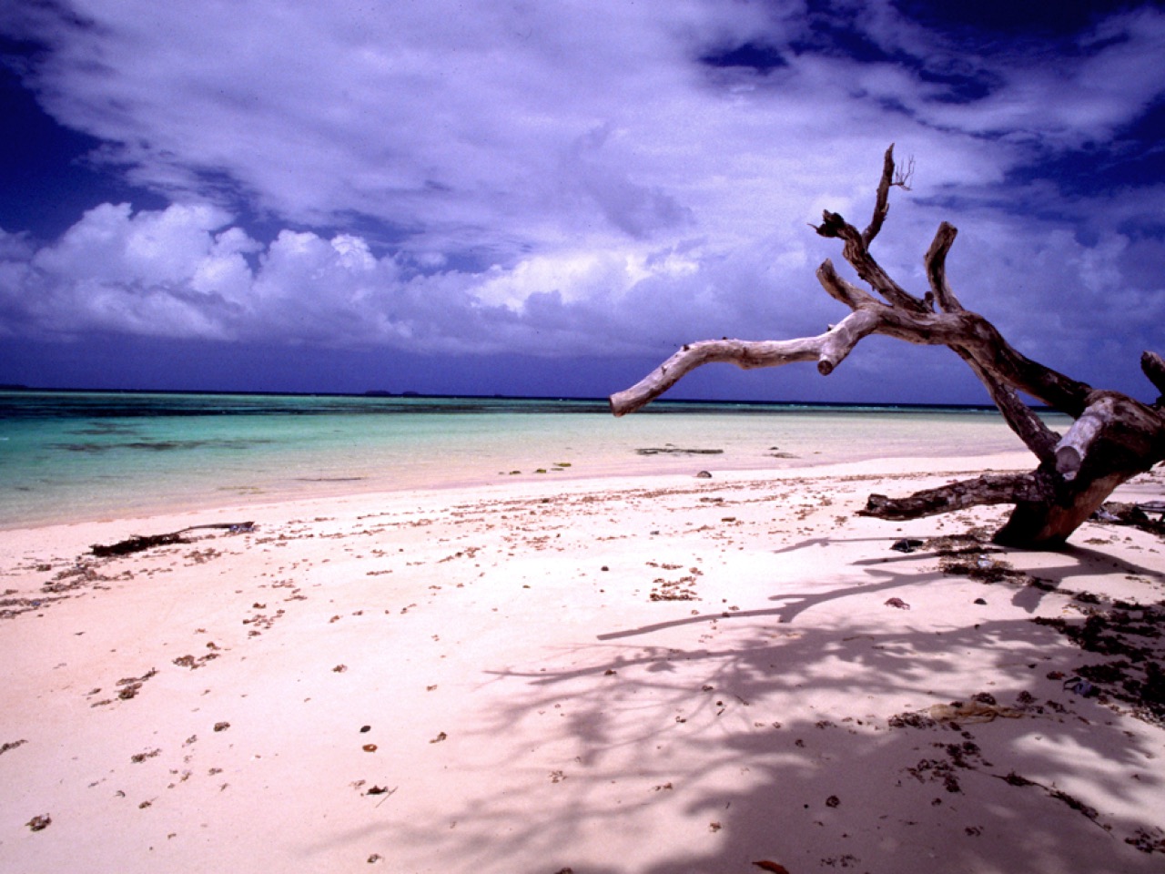 Laura Beach on Majuro, Marshall Islands
