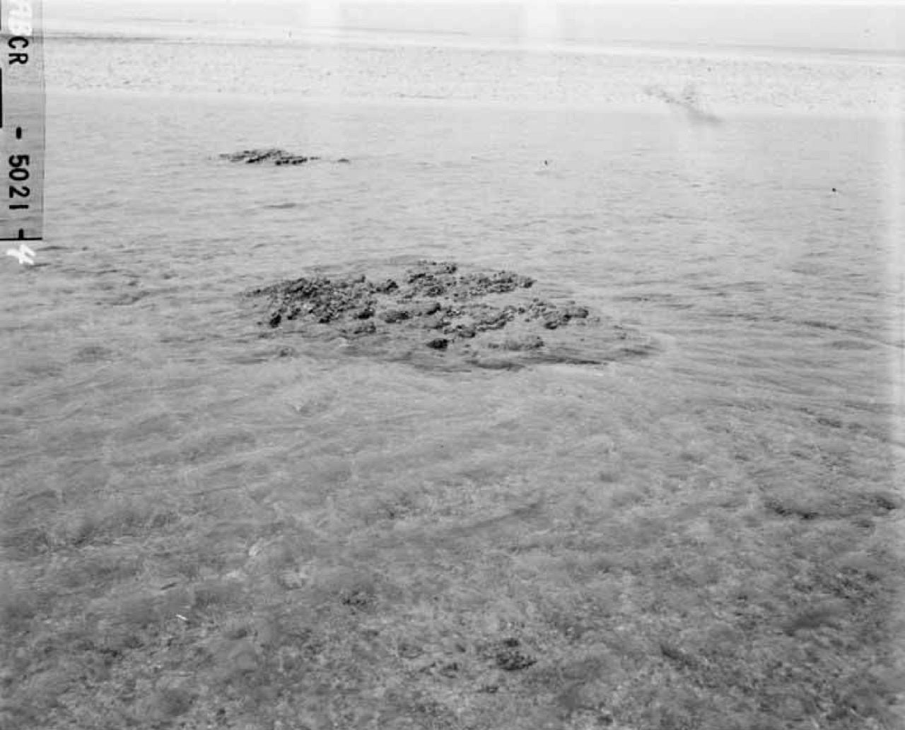 The coral reef at Bikini Atoll, Marshall Islands