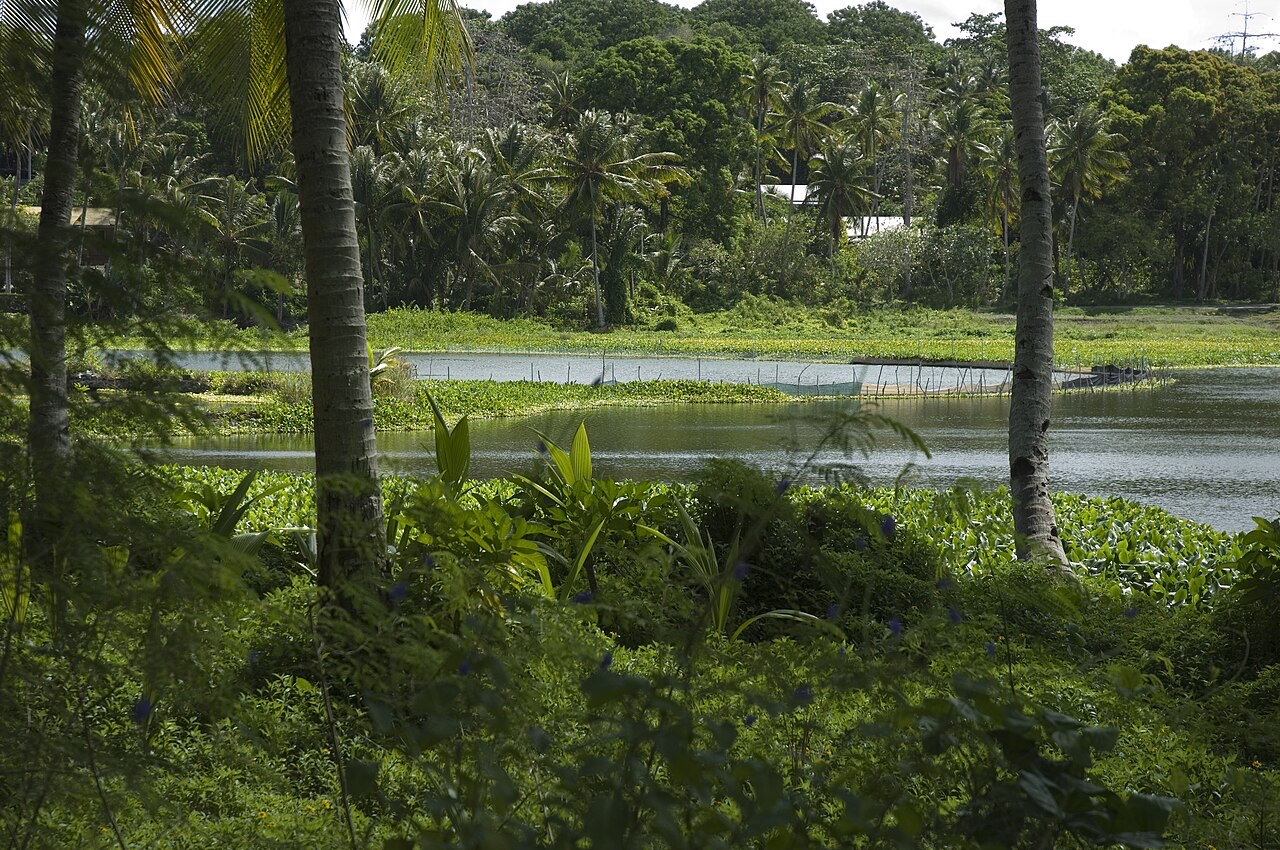 Buada Lagoon, Nauru