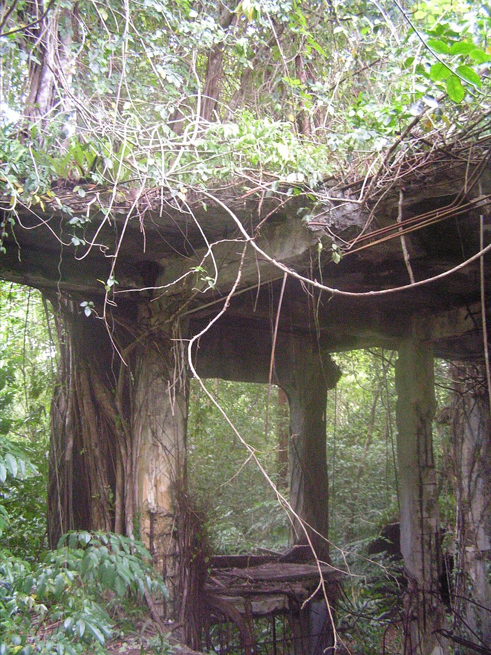 A Japanese bunker on Peleliu, Palau