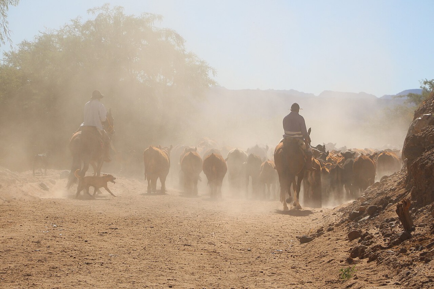 Gauchos in the Calchaquí Valleys in Argentina