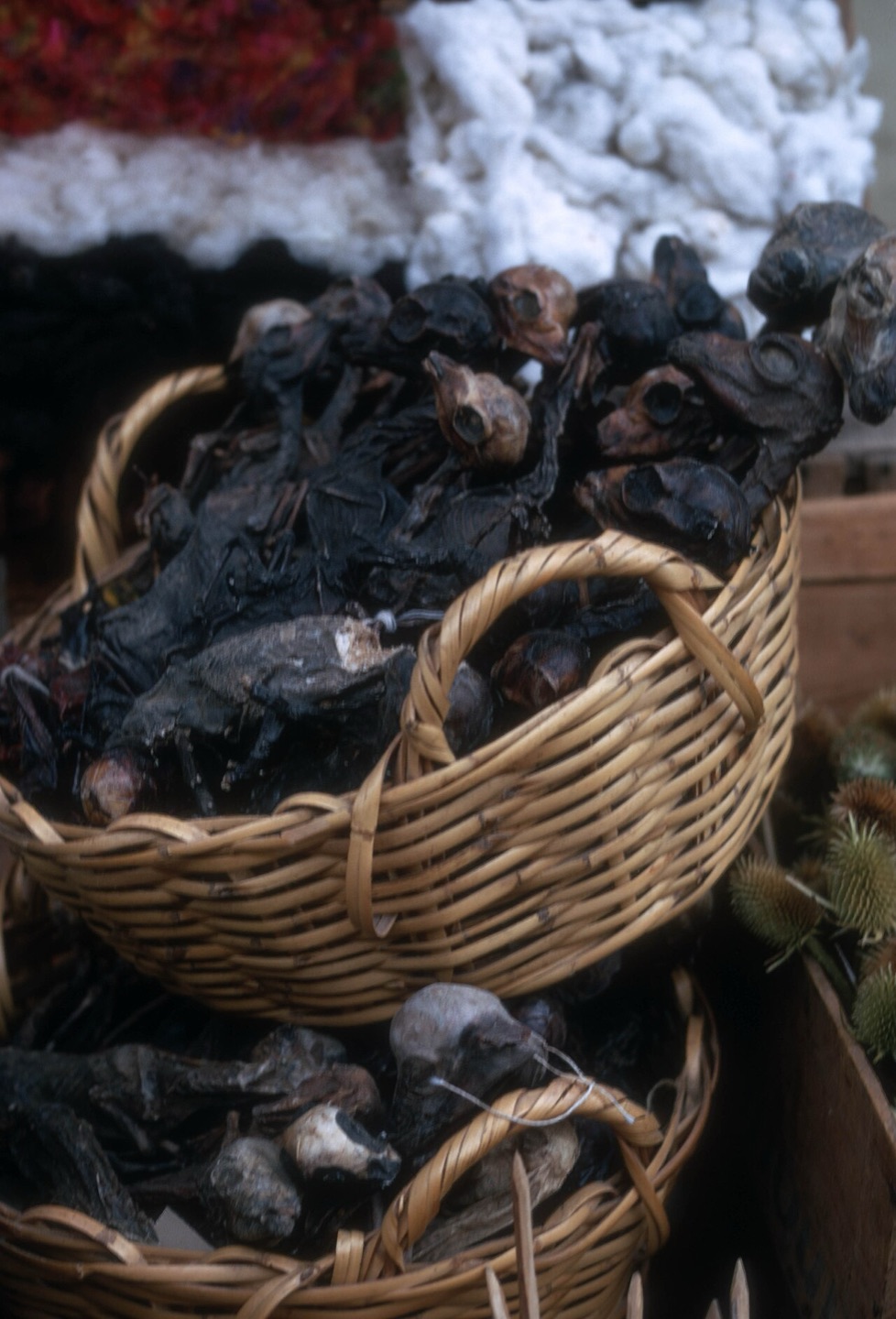 Goods at the Witches’ Market in La Paz, Bolivia