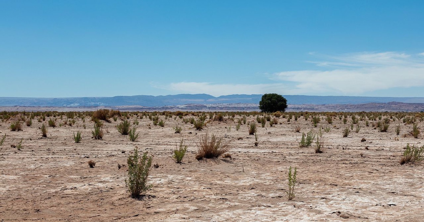 The landscape of the Atacama Desert in Chile