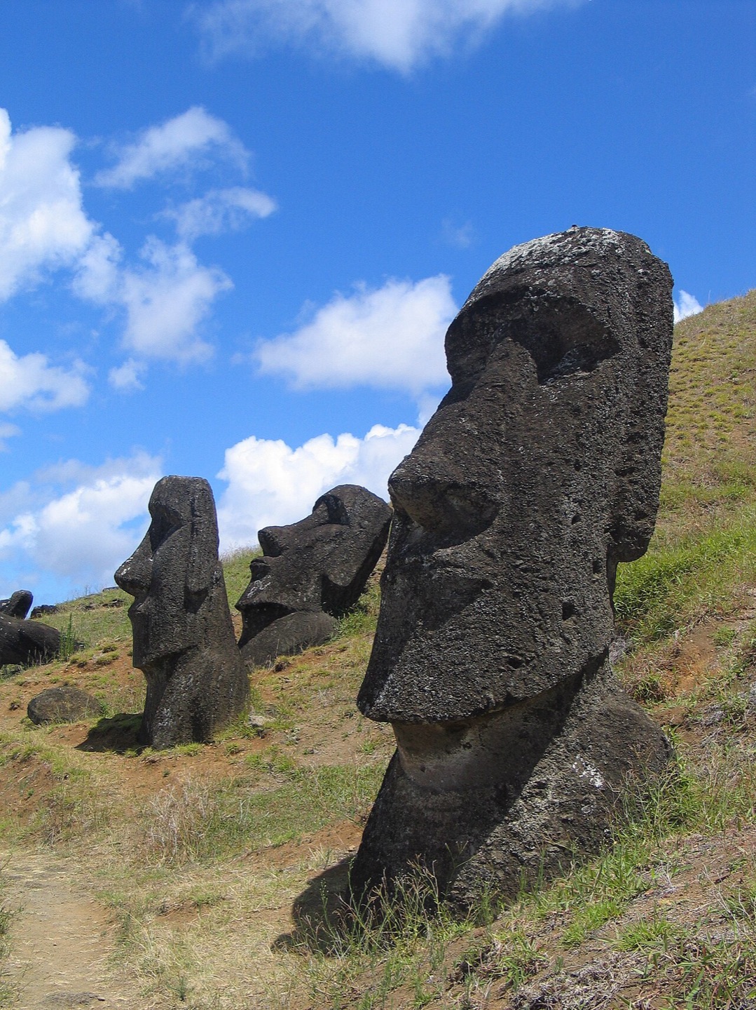 Moai at Rano Raraku on Rapa Nui, Chile