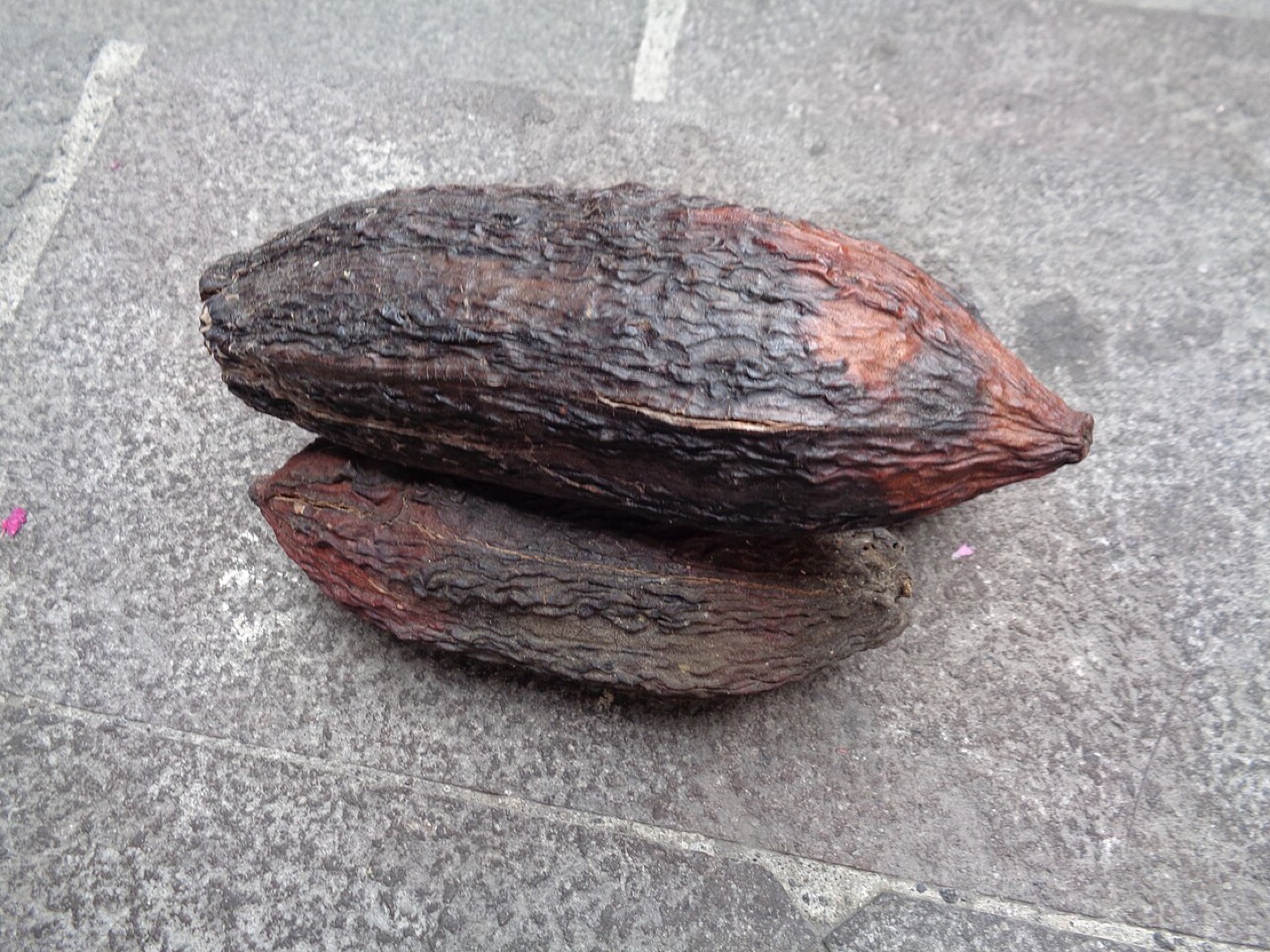 Cacao production in Ecuador