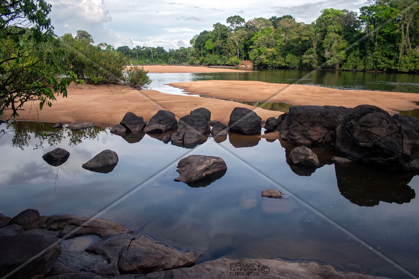 The rainforest along the Upper Suriname River